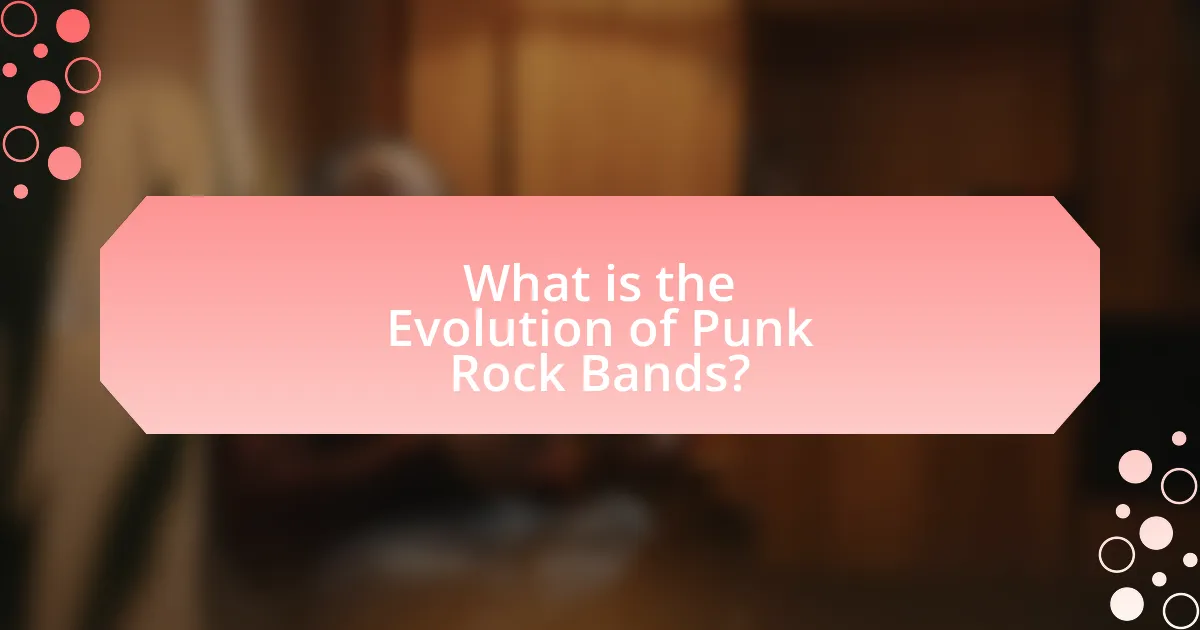 What is the Evolution of Punk Rock Bands?